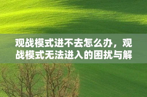 观战模式进不去怎么办，观战模式无法进入的困扰与解决方案
