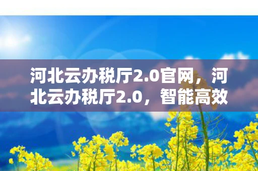 河北云办税厅2.0官网，河北云办税厅2.0，智能高效，重塑税务服务新体验