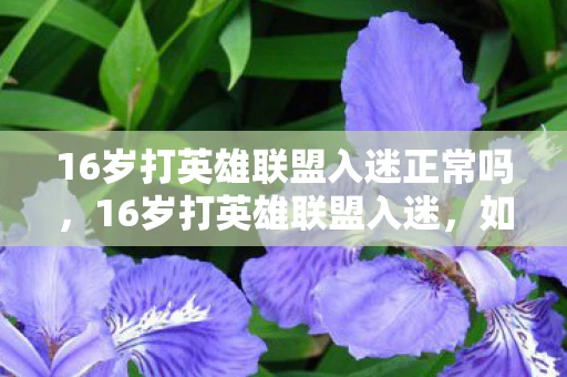 16岁打英雄联盟入迷正常吗，16岁打英雄联盟入迷，如何平衡游戏与生活