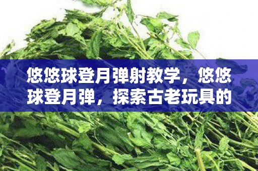 悠悠球登月弹射教学，悠悠球登月弹，探索古老玩具的新奇玩法