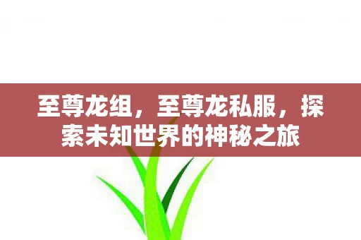 至尊龙组，至尊龙私服，探索未知世界的神秘之旅