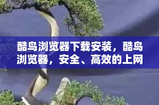 酷鸟浏览器下载安装，酷鸟浏览器，安全、高效的上网新选择