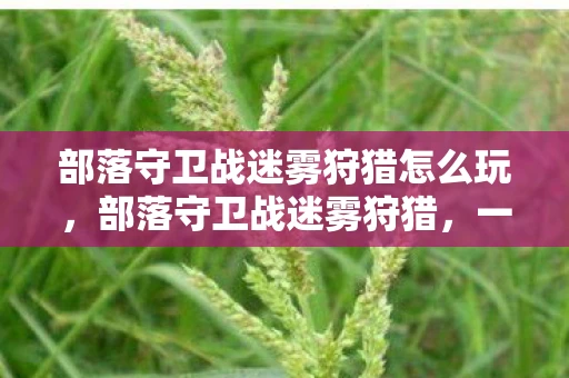 部落守卫战迷雾狩猎怎么玩，部落守卫战迷雾狩猎，一场策略与勇气的较量