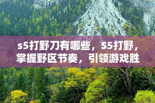 s5打野刀有哪些，S5打野，掌握野区节奏，引领游戏胜利