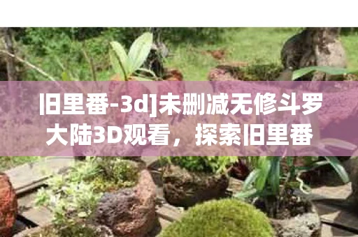 旧里番-3d]未删减无修斗罗大陆3D观看，探索旧里番的魅力，3D未删减无修的视觉盛宴