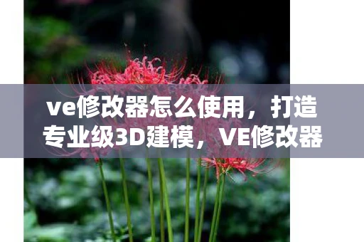 ve修改器怎么使用，打造专业级3D建模，VE修改器教程