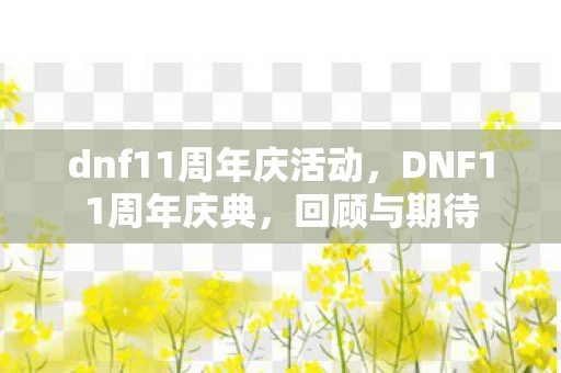 dnf11周年庆活动，DNF11周年庆典，回顾与期待