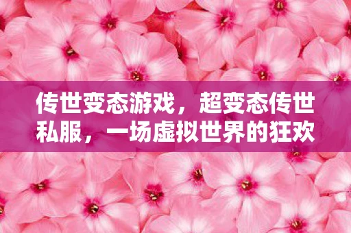 传世变态游戏，超变态传世私服，一场虚拟世界的狂欢与反思