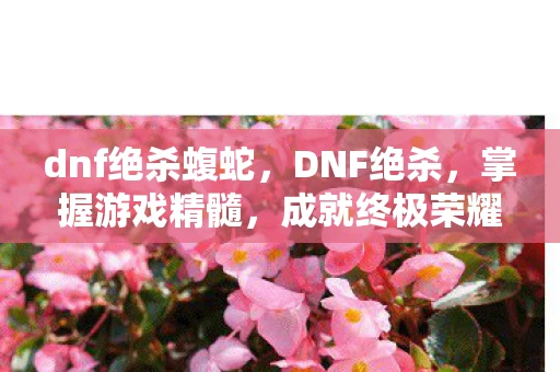 dnf绝杀蝮蛇，DNF绝杀，掌握游戏精髓，成就终极荣耀