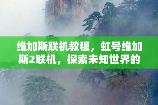 维加斯联机教程，虹号维加斯2联机，探索未知世界的冒险之旅