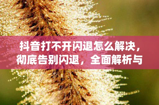 抖音打不开闪退怎么解决，彻底告别闪退，全面解析与解决App闪退问题