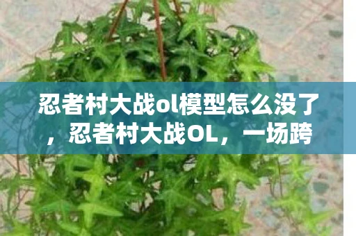 忍者村大战ol模型怎么没了，忍者村大战OL，一场跨越次元的战斗盛宴