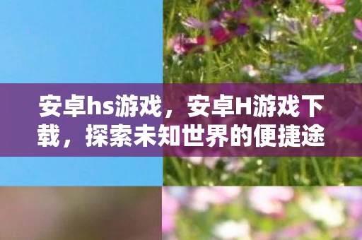 安卓hs游戏，安卓H游戏下载，探索未知世界的便捷途径