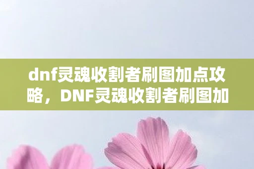 dnf灵魂收割者刷图加点攻略，DNF灵魂收割者刷图加点攻略