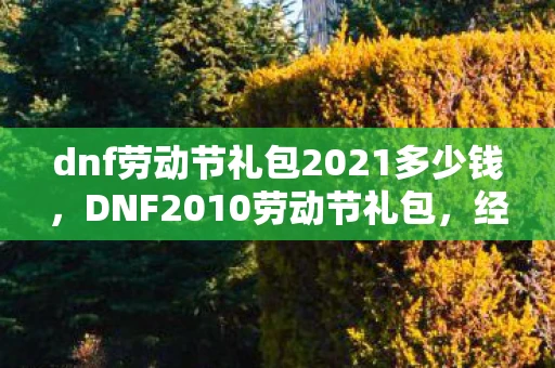 dnf劳动节礼包2021多少钱，DNF2010劳动节礼包，经典回忆与游戏文化的传承