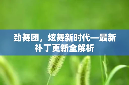 最新补丁更新全解析图片