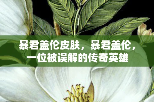 暴君盖伦皮肤，暴君盖伦，一位被误解的传奇英雄