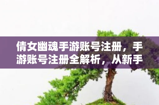 倩女幽魂手游账号注册，手游账号注册全解析，从新手到高手的攻略