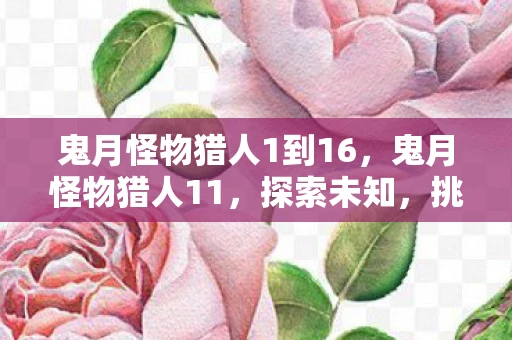鬼月怪物猎人1到16，鬼月怪物猎人11，探索未知，挑战极限