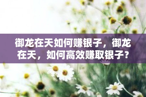御龙在天如何赚银子，御龙在天，如何高效赚取银子？