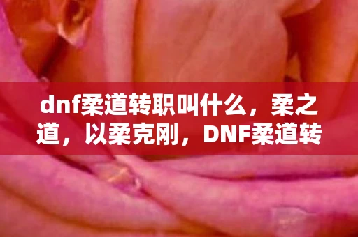 dnf柔道转职叫什么，柔之道，以柔克刚，DNF柔道转职全解析