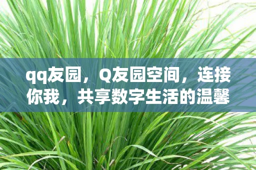 qq友园，Q友园空间，连接你我，共享数字生活的温馨角落