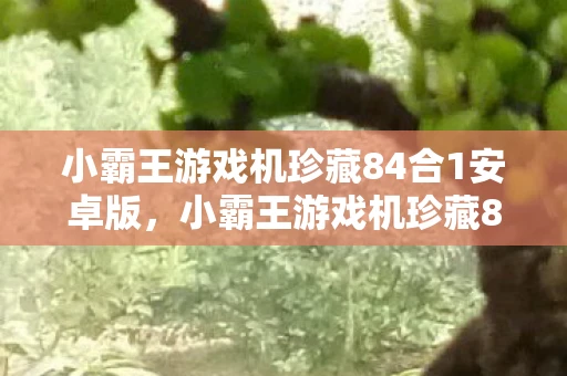 小霸王游戏机珍藏84合1安卓版，小霸王游戏机珍藏84合1下载，回忆与情怀的交织