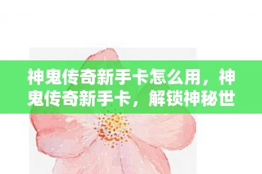 神鬼传奇新手卡怎么用，神鬼传奇新手卡，解锁神秘世界的钥匙