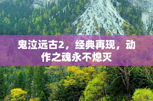 动作之魂永不熄灭图片