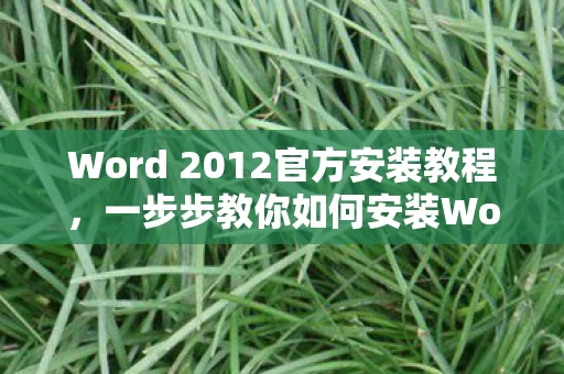 一步步教你如何安装Word 2012图片