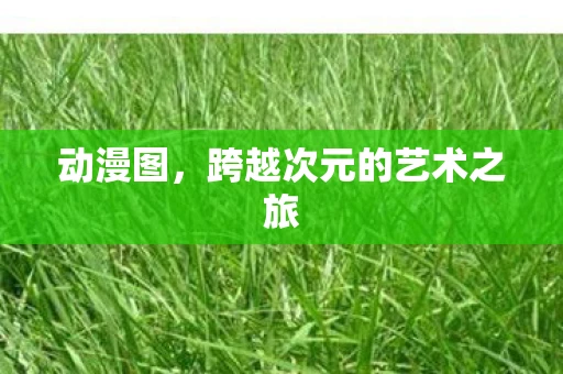 动漫图，跨越次元的艺术之旅