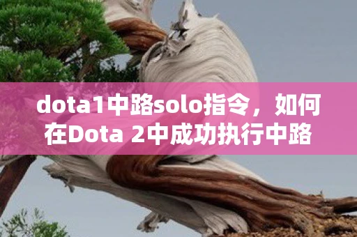 dota1中路solo指令，如何在Dota 2中成功执行中路Solo指令