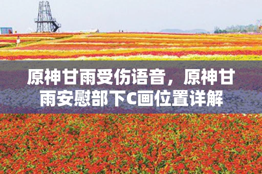 原神甘雨受伤语音，原神甘雨安慰部下C画位置详解