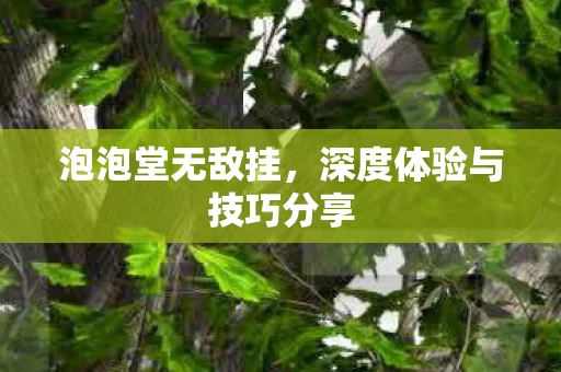 深度体验与技巧分享图片