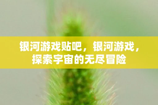 银河游戏贴吧，银河游戏，探索宇宙的无尽冒险