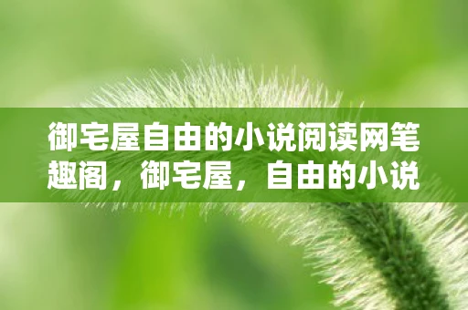 御宅屋自由的小说阅读网笔趣阁，御宅屋，自由的小说阅读网