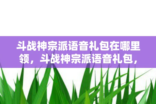 斗战神宗派语音礼包在哪里领，斗战神宗派语音礼包，打造个性化游戏体验