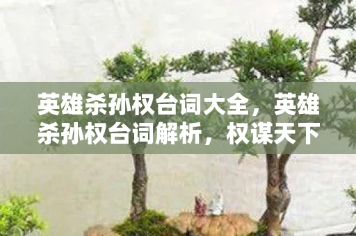 英雄杀孙权台词大全，英雄杀孙权台词解析，权谋天下，智勇双全