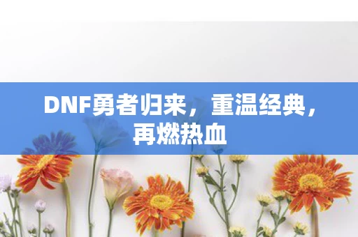DNF勇者归来图片