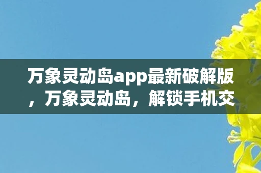 万象灵动岛app最新破解版，万象灵动岛，解锁手机交互新体验