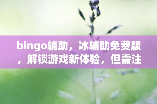 bingo辅助，冰辅助免费版，解锁游戏新体验，但需注意风险