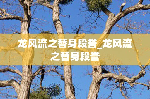 龙风流之替身段誉_龙风流之替身段誉