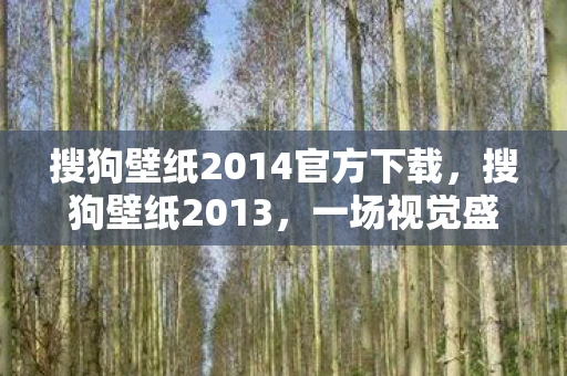 搜狗壁纸2014官方下载，搜狗壁纸2013，一场视觉盛宴的回顾