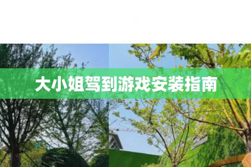 大小姐驾到游戏安装指南图片