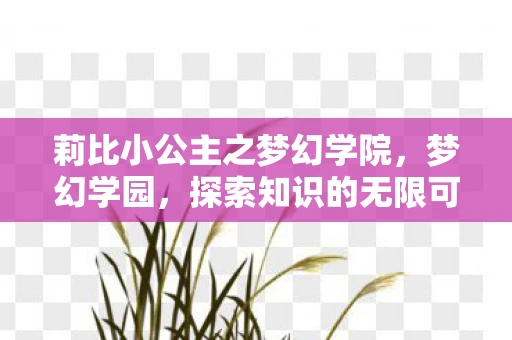 莉比小公主之梦幻学院，梦幻学园，探索知识的无限可能
