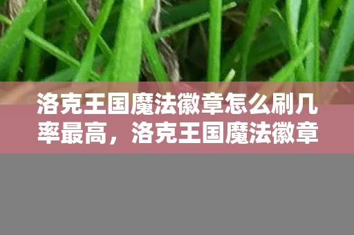 洛克王国魔法徽章怎么刷几率最高，洛克王国魔法徽章，解锁王国奥秘的钥匙