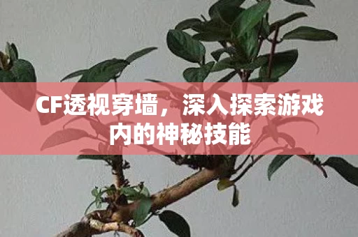 深入探索游戏内的神秘技能图片