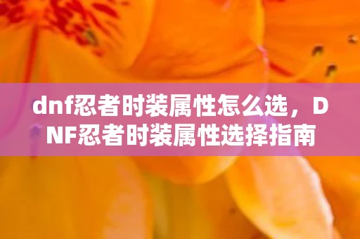 dnf忍者时装属性怎么选，DNF忍者时装属性选择指南，打造最强忍者的时尚装备