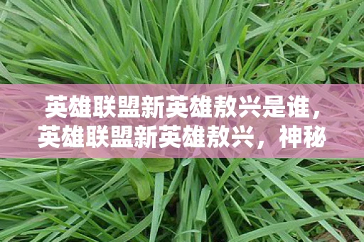 英雄联盟新英雄敖兴是谁，英雄联盟新英雄敖兴，神秘力量的觉醒