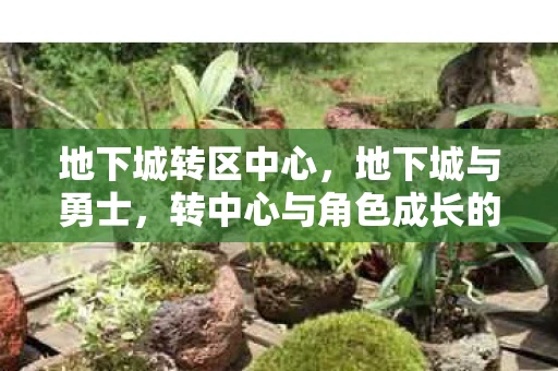 地下城转区中心，地下城与勇士，转中心与角色成长的奇幻之旅